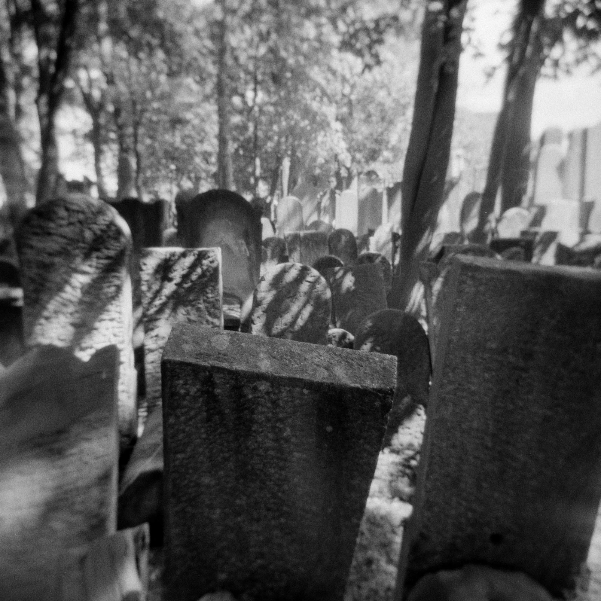 (Nie)trwałe, zdjęcie 118